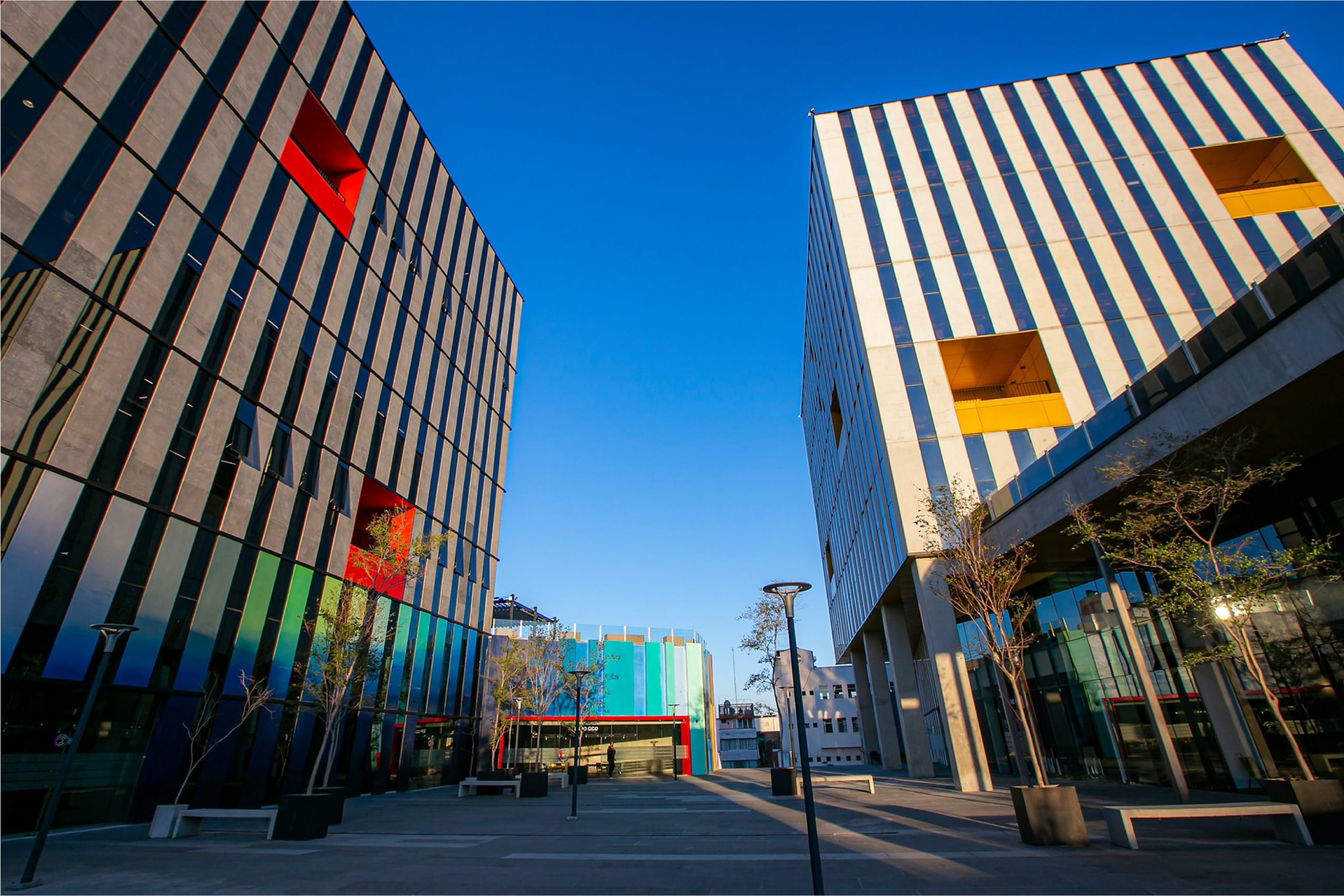 Descubre PLAi: el lugar donde aprender, conectar e innovar se convierte en una emocionante aventura.